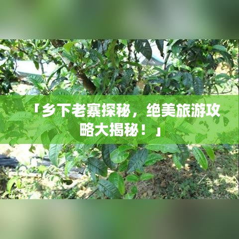 2025年6月2日 第2页