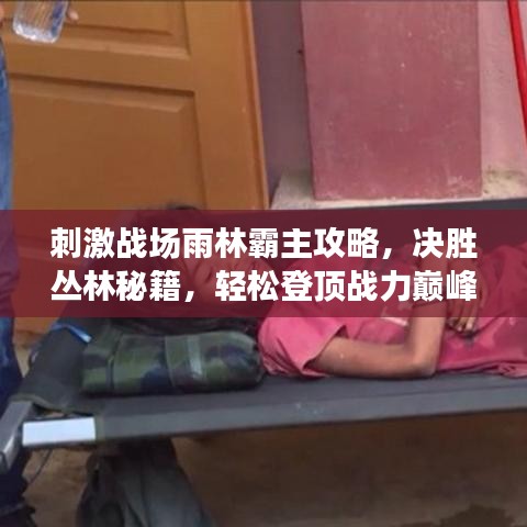 刺激战场雨林霸主攻略，决胜丛林秘籍，轻松登顶战力巅峰！