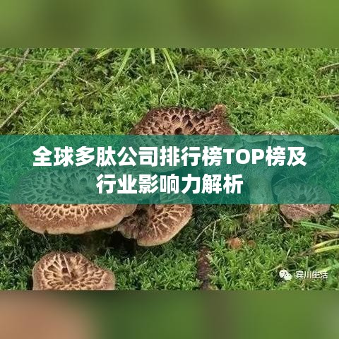 全球多肽公司排行榜TOP榜及行业影响力解析
