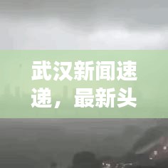 武汉新闻速递，最新头条报道抢先看