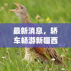 2025年6月6日 第4页