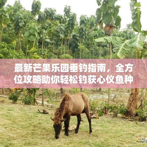 最新芒果乐园垂钓指南，全方位攻略助你轻松钓获心仪鱼种！