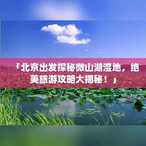 「北京出发探秘微山湖湿地，绝美旅游攻略大揭秘！」