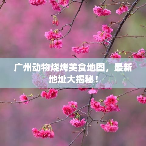 广州动物烧烤美食地图，最新地址大揭秘！