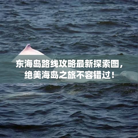 东海岛路线攻略最新探索图，绝美海岛之旅不容错过！