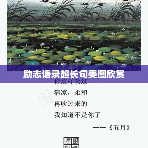 励志语录超长句美图欣赏