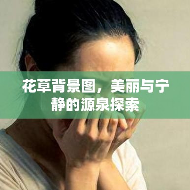 花草背景图，美丽与宁静的源泉探索