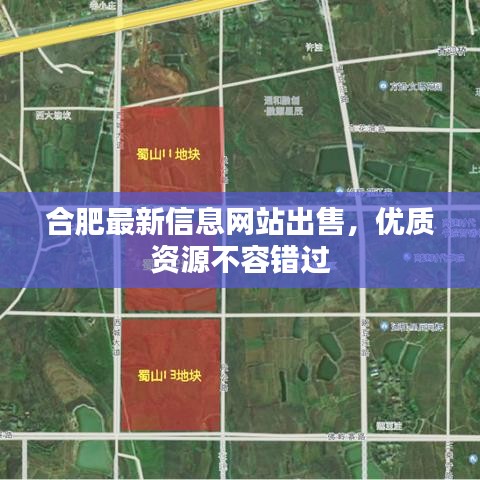 合肥最新信息网站出售，优质资源不容错过
