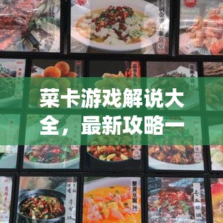 菜卡游戏解说大全，最新攻略一网打尽