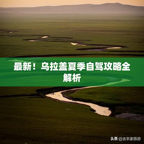 最新！乌拉盖夏季自驾攻略全解析