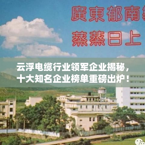 云浮电缆行业领军企业揭秘，十大知名企业榜单重磅出炉！