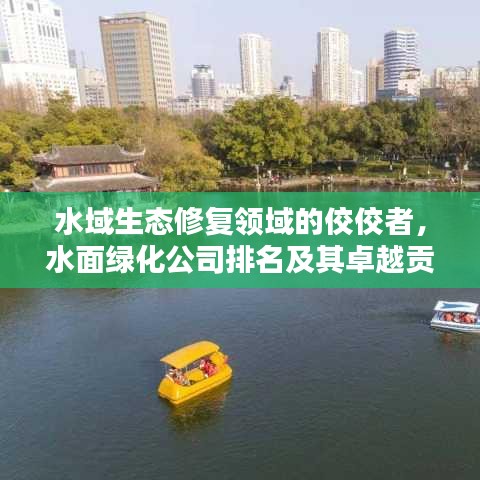 水域生态修复领域的佼佼者，水面绿化公司排名及其卓越贡献