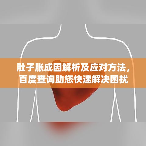 肚子胀成因解析及应对方法，百度查询助您快速解决困扰