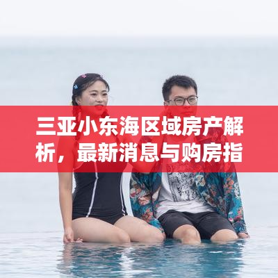 三亚小东海区域房产解析，最新消息与购房指南