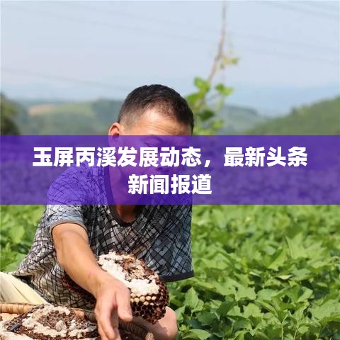 玉屏丙溪发展动态，最新头条新闻报道