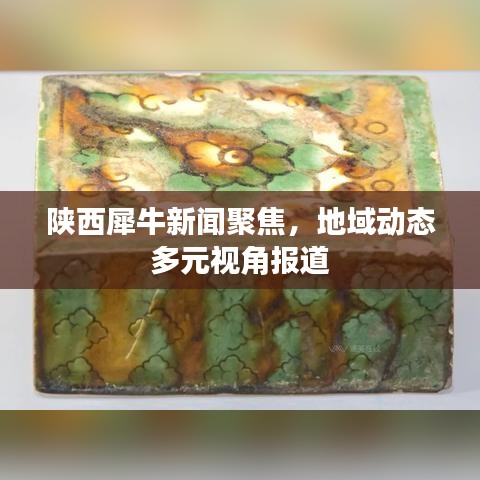 陕西犀牛新闻聚焦，地域动态多元视角报道
