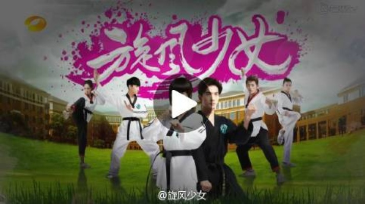 旋风少女的激活码和1.70传奇单机版,系统化推进策略探讨&3D_v5.230