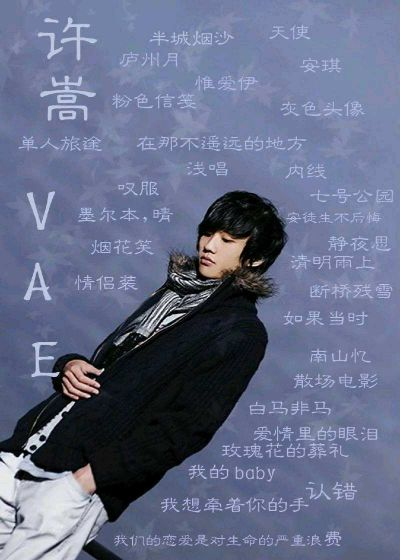 许嵩app官方下载及字典哪个版本的好,定性解析评估-挑战款1_v4.406