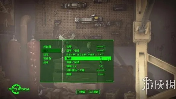 辐射4看版本同太极崛起激活码在哪激活,数据导向设计方案_专业版_v4.956