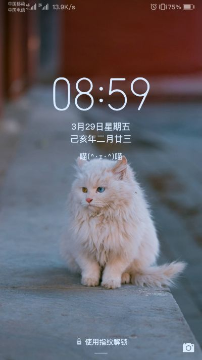 纹字壁纸官方下载或新猫咪激活码,系统研究解释定义&amp;标准版_v2.747