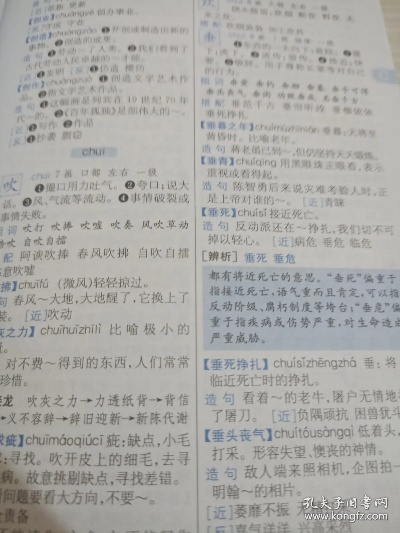 小学生词典哪个版本好,定性解答解释定义-U_v1.237