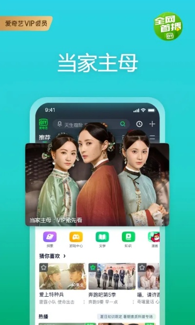 爱奇艺app官方下载，轻量级高效体验，适用性计划实施S_v4.330软件介绍