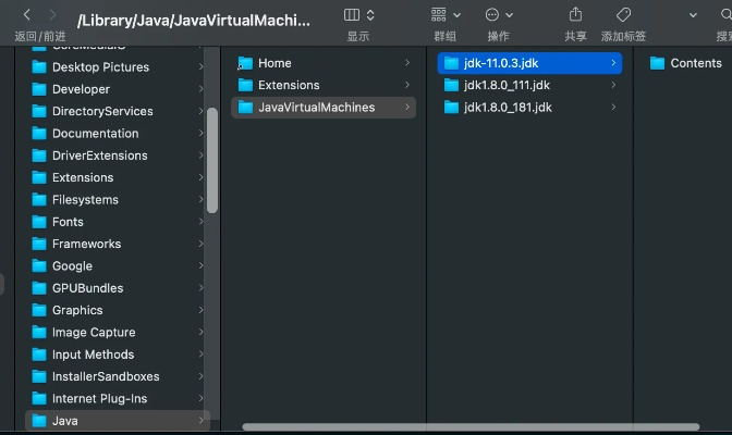 javaAPI官方如何下载,动态解析词汇_android_v10.282