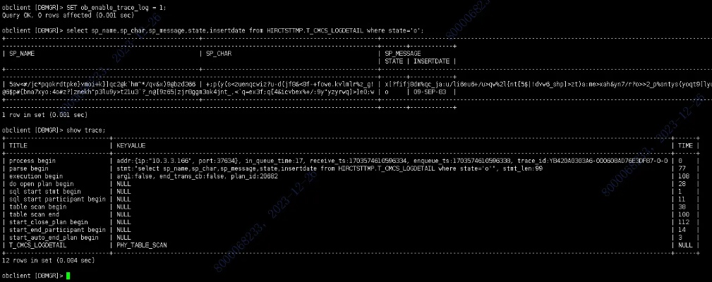 笨鸟先飞 第2页