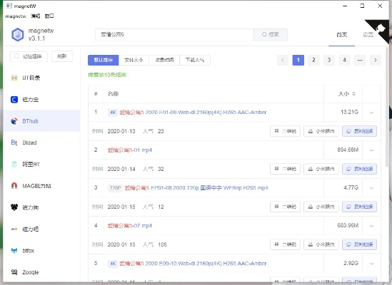 磁力看版本，可靠操作策略方案C版 v1.222扩展插件指南