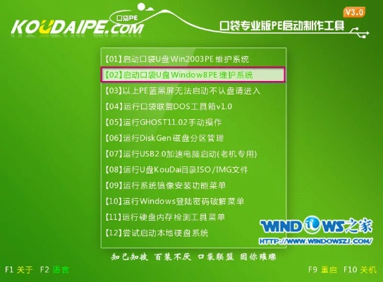 绿口袋下载官方软件版本演进简史