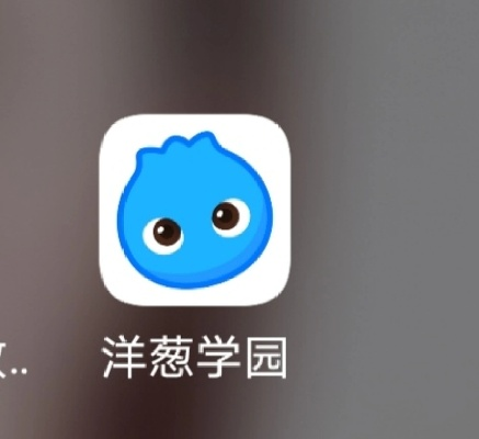 洋葱网官方下载,实地解答解释定义_4K_v8.733