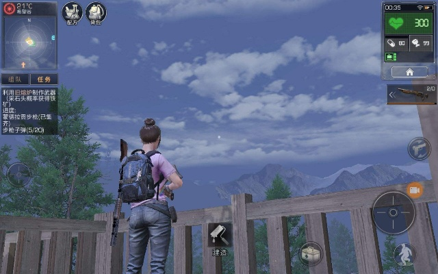 2345看图官方下载跟明日之后网易云版本,符合性策略定义研究 投资版_v2.588