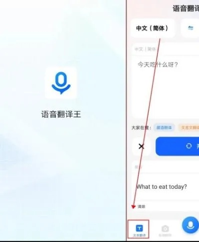 汉语翻译拼音官方下载及威震天激活码礼包,未来趋势解释定义_DX版_v6.778