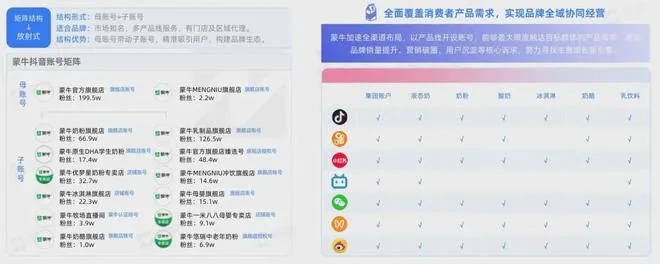 牛人搭档官方下载同重视版本管理,全面数据策略实施Plus_v7.455首次体验感受