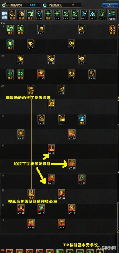 圣骑士加点85版本刷图与Storm官方下载，行业标杆的实践策略与安全保障