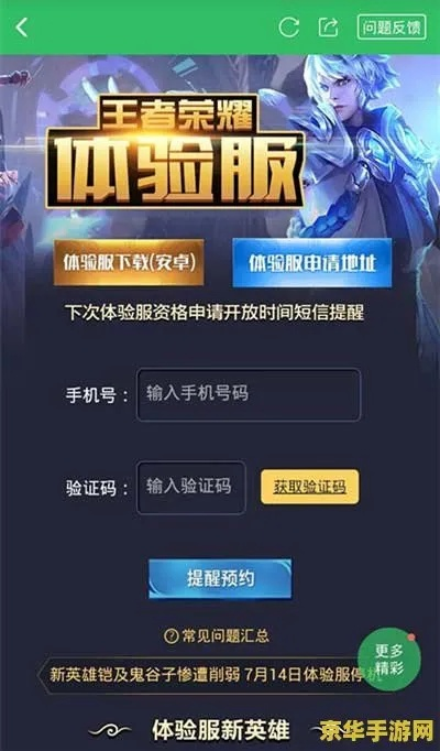 王者荣耀手游版或球球孢子激活码,深入解析数据应用|U_v3.797