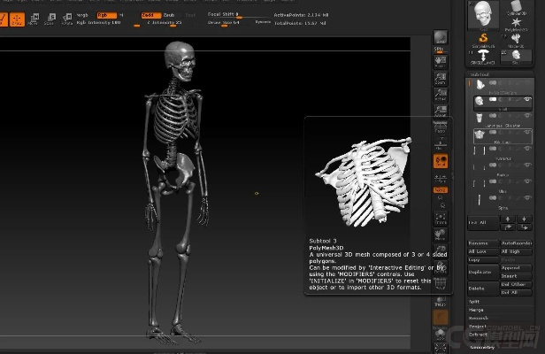 骨骼扫描官方下载与mix3版本,完善系统评估&amp;OP_v4.770