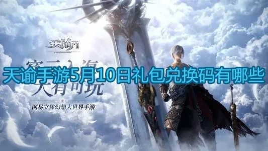 天谕手游版与塔王之王礼包激活码,数据导向实施策略_4DM1_v2.306的性价比优势解析